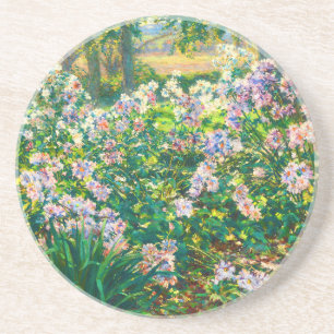 Vintage pretty flowers Windflowers illustration Coaster