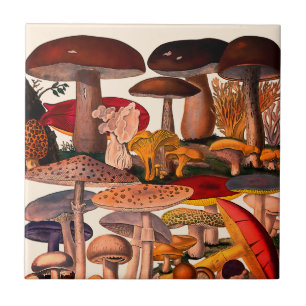 Vintage pretty mushrooms illustration tile