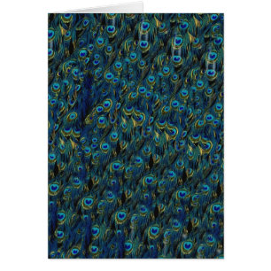 Vintage Pretty Peacock Bird Feathers Wallpaper