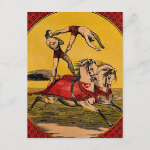 Vintage Print Of Bareback Riders Perfoming Stunts Postcard