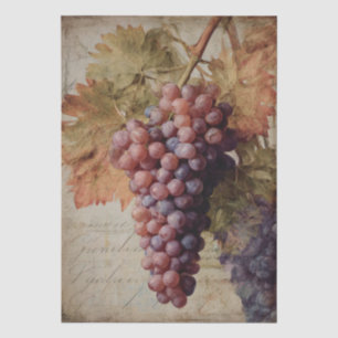 Vintage Print of Vineyard Grapes Tissue Paper