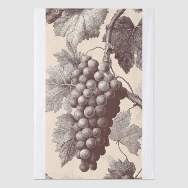 Vintage Print of Vineyard Grapes Tissue Paper (Front)