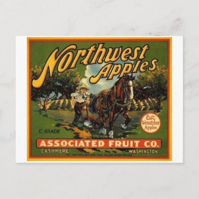 Vintage Produce Crate Label Postcard (Front)