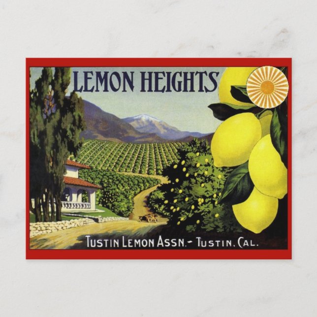 Vintage Produce Crate Label Postcard (Front)