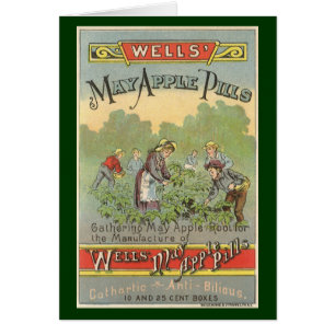 Vintage Product Label Art, Wells May Apple Pills
