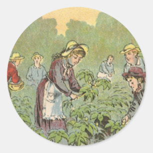 Vintage Product Label Art, Wells May Apple Pills