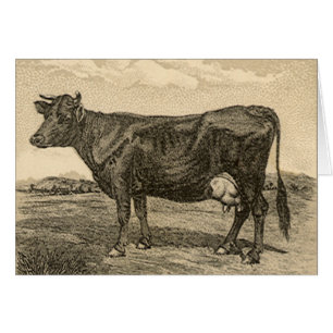 Vintage Product Label, Dwight's Bicarbonated Soda