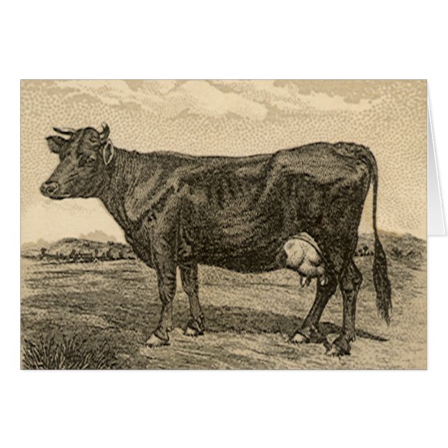 Vintage Product Label, Dwight's Bicarbonated Soda (Front Horizontal)