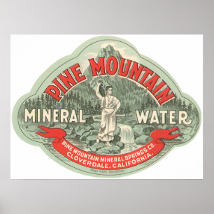 Vintage Product Label, Pine Mountain Mineral Water Poster