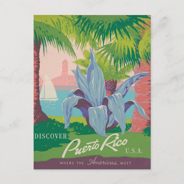 Vintage Puerto Rico  Postcard (Front)