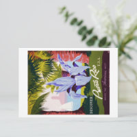 Vintage Puerto Rico Travel Tropical Customise