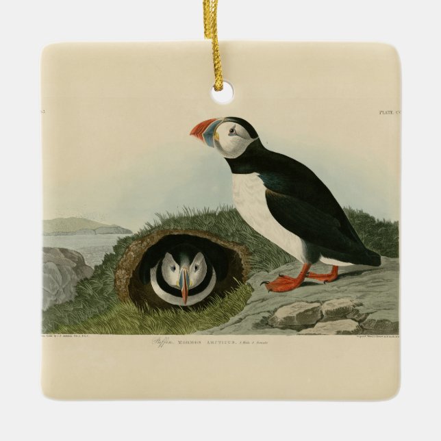 Vintage Puffin Illustration Ceramic Ornament (Front)