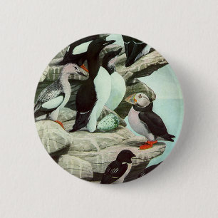 Vintage Puffins and Aquatic Birds by Louis Fuertes 6 Cm Round Badge