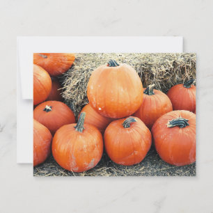 Vintage Pumpkin Pile Postcard