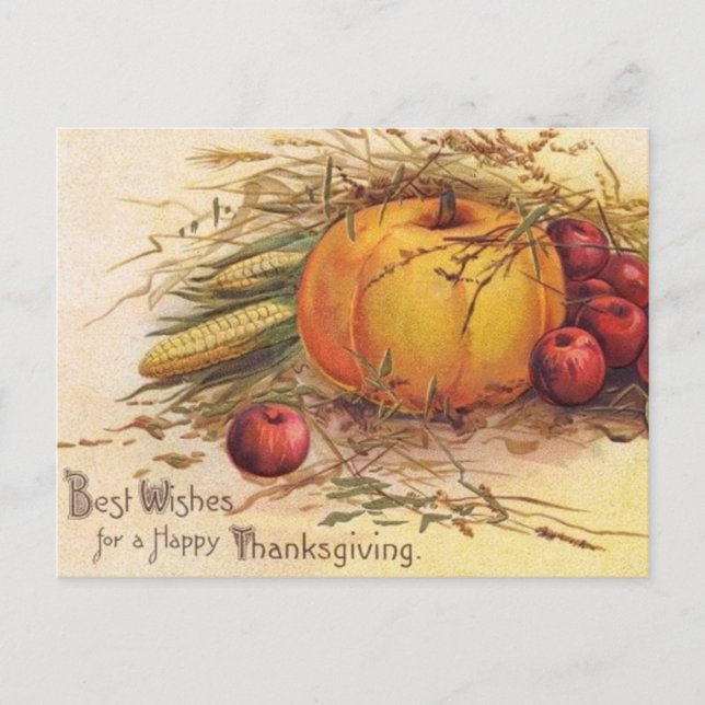 Vintage Pumpkin Thanksgiving Greeting Postcard (Front)