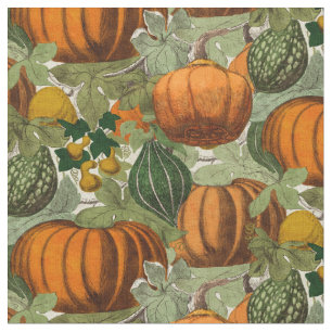 Vintage Pumpkins & Gourds Fabric