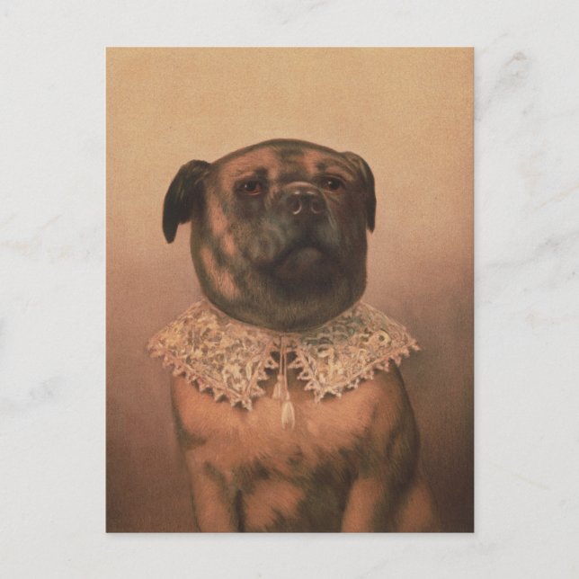 Vintage Pup Postcard (Front)