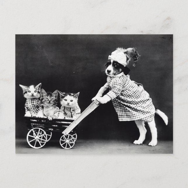 Vintage Puppies and Kittens Postcard (Front)