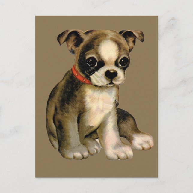 Vintage Puppy Postcard (Front)