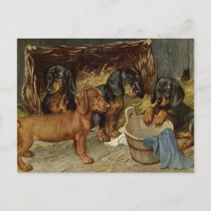 Vintage Pups Postcard