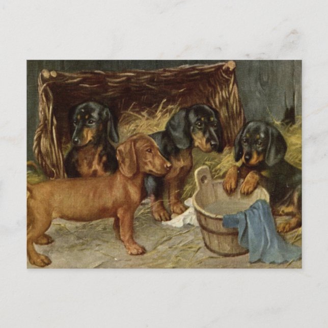 Vintage Pups Postcard (Front)