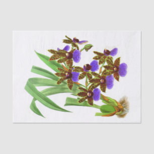 Vintage Purple Burgundy Orchid Flower Decoupage Tissue Paper