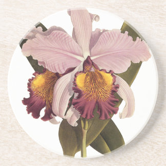 Vintage Purple Cattleya Orchid, Tropical Flowers Coaster
