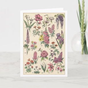 Vintage Purple Flowers Card