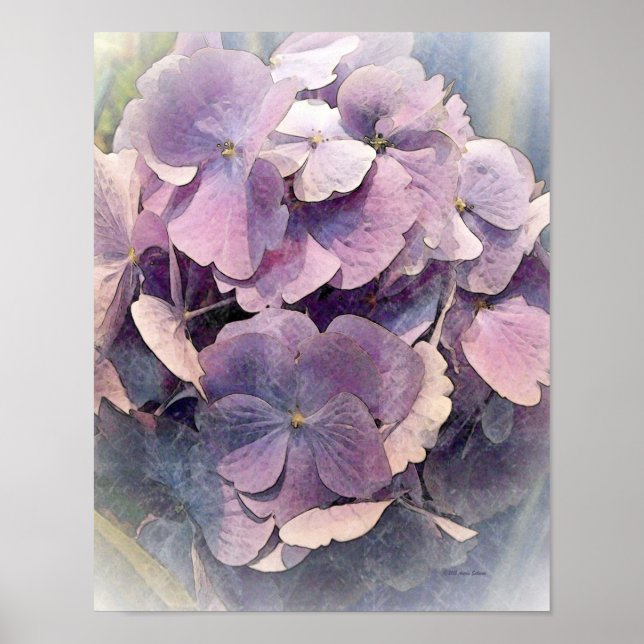 Vintage Purple HydrangeasPhoto Art Poster (Front)