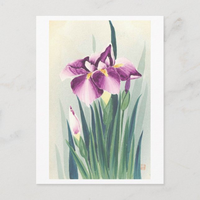 Vintage Purple Iris from Japan Postcard (Front)