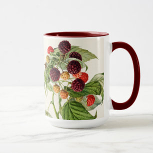Vintage Purple Raspberry Mug