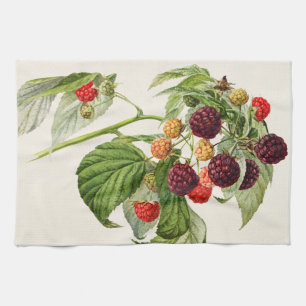 Vintage Purple Raspberry Tea Towel