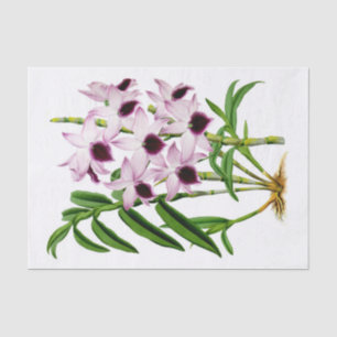 Vintage Purple White Orchid Flower Decoupage Tissue Paper