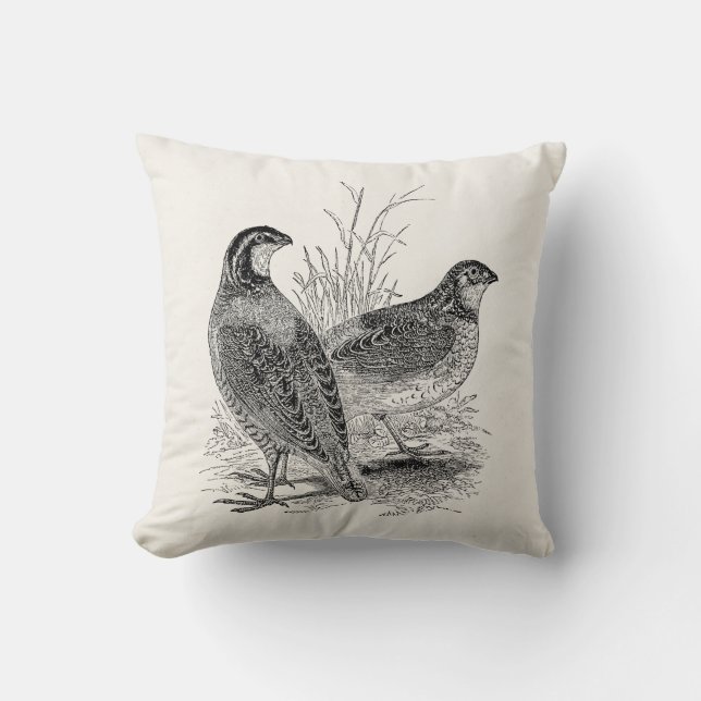 Vintage Quail Birds - Personalised Retro Game Bird Cushion (Front)
