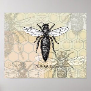 Vintage Queen Bee Illustration Poster
