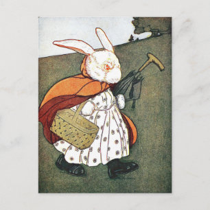 Vintage Rabbit Children's Book Illustration Postcard
