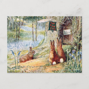 Vintage Rabbit Children's Book Illustration  Postcard
