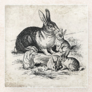 Vintage Rabbit Family Illustration, Baby Bunnies Glass Coaster