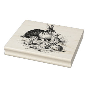 Vintage Rabbit Family Illustration, Baby Bunnies Rubber Stamp