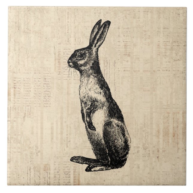 Vintage Rabbit Illustration Old Fashioned Bunny Tile (Front)
