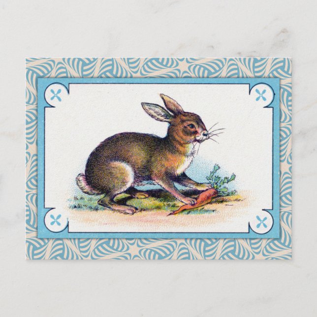 Vintage Rabbit Print Postcard (Front)