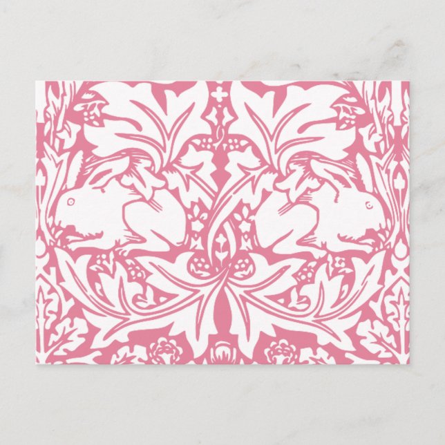 Vintage Rabbits Postcard (Front)