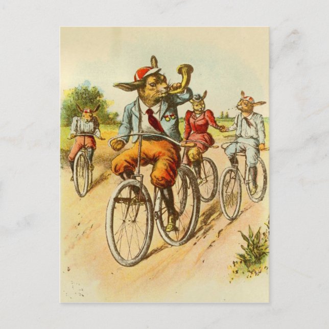 Vintage Rabbits Riding Bicycles Postcard (Front)