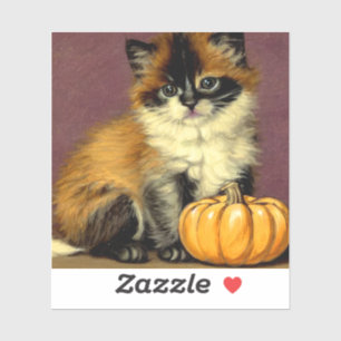 Vintage Ragdoll Halloween Cat