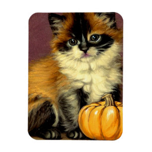 Vintage Ragdoll Halloween Cat Magnet
