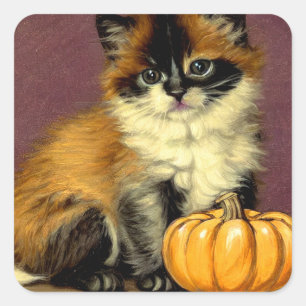 Vintage Ragdoll Halloween Cat Square Sticker