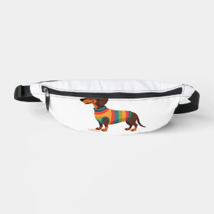 Vintage Rainbow Sweater Dachshund Cute Long Dog Il Bum Bags