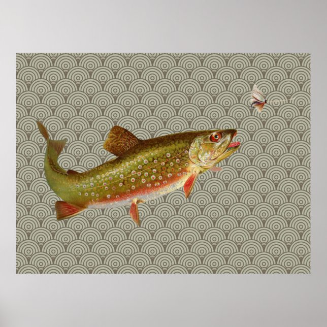 Vintage Rainbow Trout Fly Fishing Poster (Front)