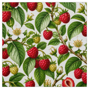 Vintage Raspberry Botanical Illustration Fabric