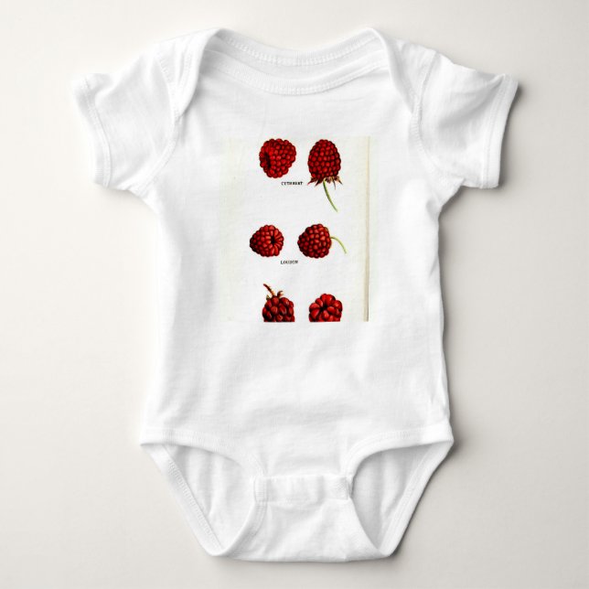 Vintage Raspberry Botanical Print Baby Bodysuit (Front)